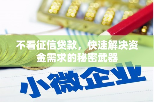 岚山不看征信贷款，快速解决资金需求的秘密武器