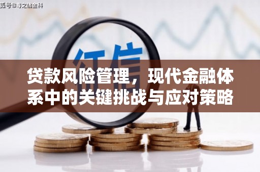 大寮贷款风险管理，现代金融体系中的关键挑战与应对策略