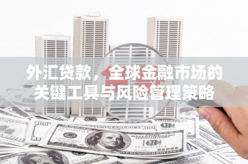 石楼外汇贷款，全球金融市场的关键工具与风险管理策略