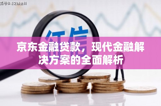 龙陵京东金融贷款，现代金融解决方案的全面解析