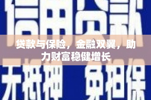 民和贷款与保险，金融双翼，助力财富稳健增长