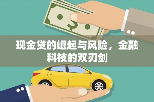 鱼峰现金贷的崛起与风险，金融科技的双刃剑