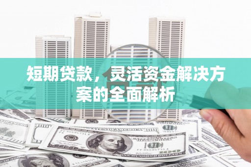 玛沁短期贷款，灵活资金解决方案的全面解析