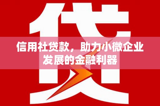 久治信用社贷款，助力小微企业发展的金融利器