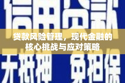 西畴贷款风险管理，现代金融的核心挑战与应对策略