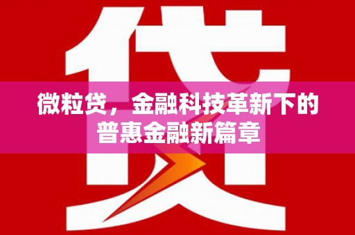 镇海微粒贷，金融科技革新下的普惠金融新篇章