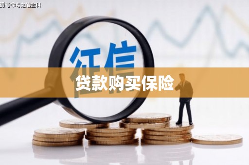 士林贷款购买保险