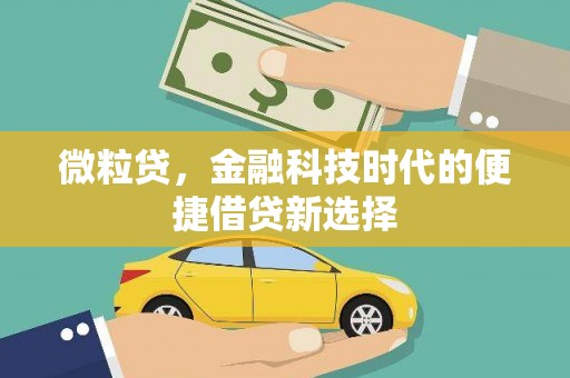 锡林郭勒盟微粒贷，金融科技时代的便捷借贷新选择