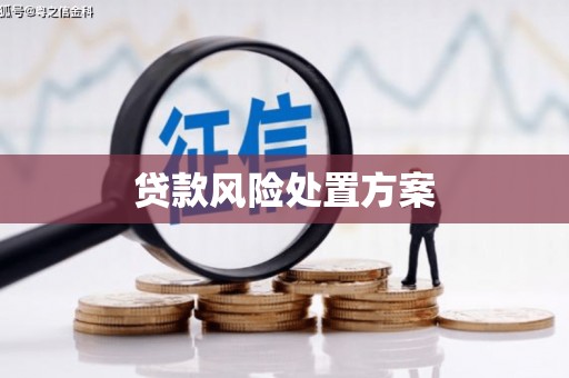 名间贷款风险处置方案