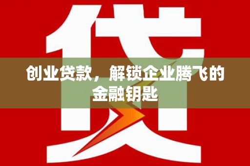泸水创业贷款，解锁企业腾飞的金融钥匙