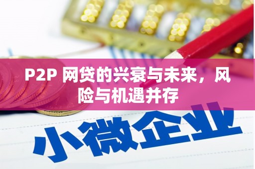 田阳P2P 网贷的兴衰与未来，风险与机遇并存