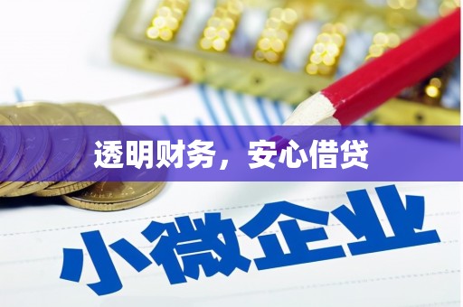 金平透明财务，安心借贷