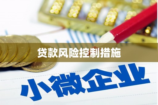 东安贷款风险控制措施