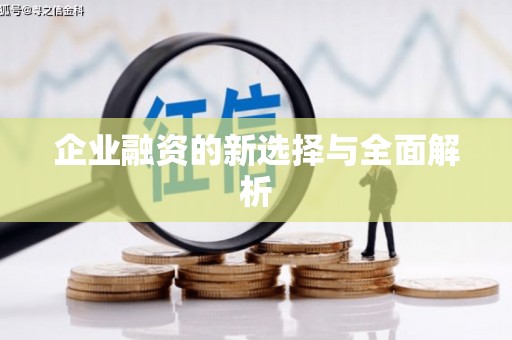 铜仁企业融资的新选择与全面解析