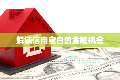 东台解锁信用空白的金融机会