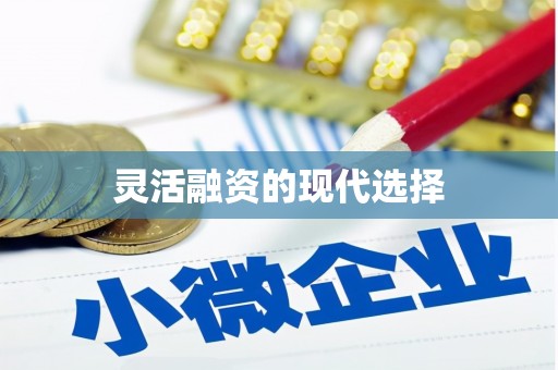 高邮灵活融资的现代选择