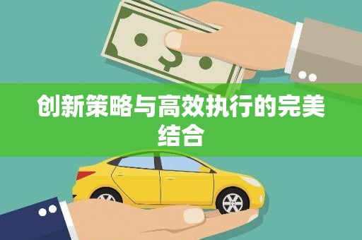 甘孜创新策略与高效执行的完美结合